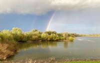 Oude Waal in the Ooijpolder